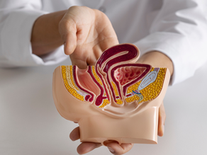 Tratamento minimamente invasivo para fístulas anais