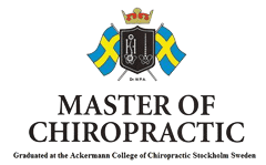 Chiropraktik Pferd Heilpraktiker Völklingen Saarland Richard Klinger Einrenken Knochenbrecher Pferdephysiotherapie Master of Chiropractic Rückenschmerzen Bandscheibenvorfall