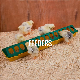Feeders Northern Hylines.png