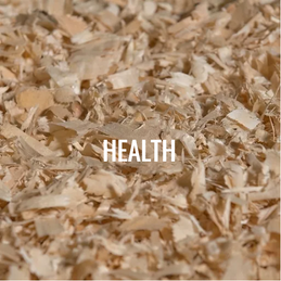 Health Northern Hylines.png