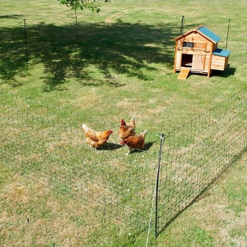 Hotline Green Poultry Fence 50 Metres Northern Hylines