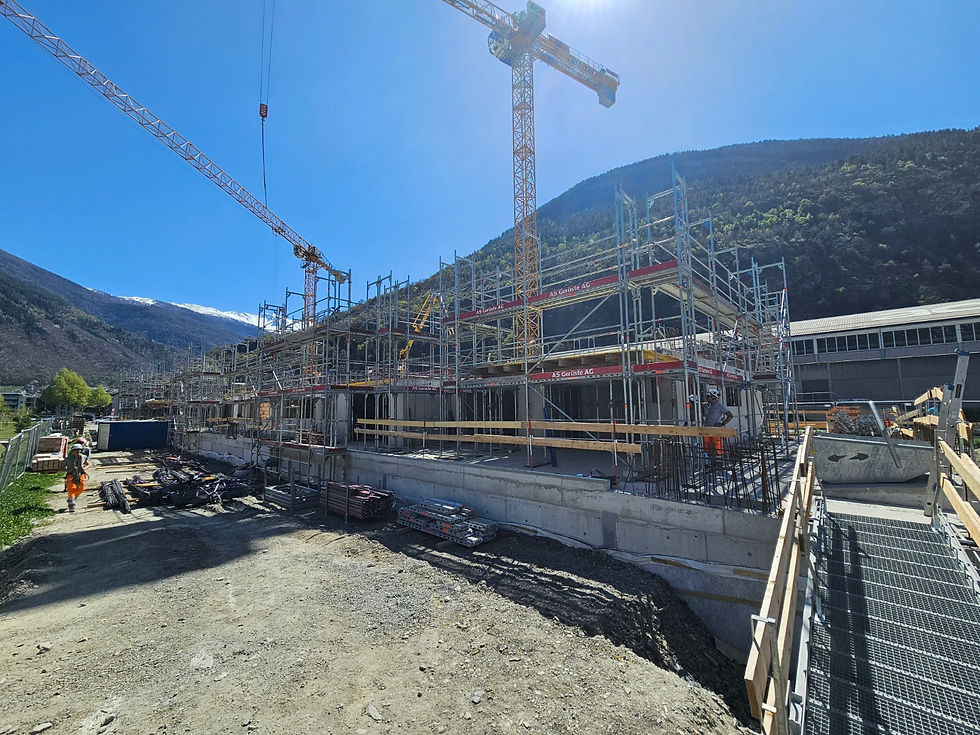 Aus dem Winterschlaf erwacht.