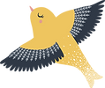 Bird             