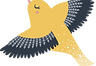 pájaro