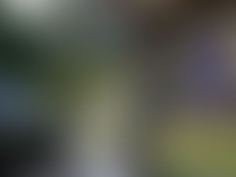 Har ni sett Morgans film om Långå Skans?