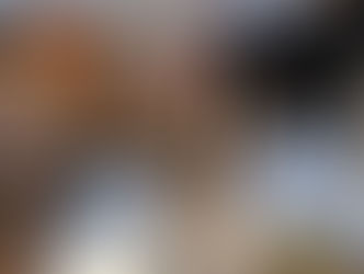 Forbönderna är på väg ...