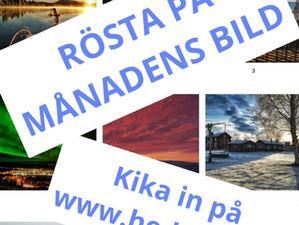 Dags att rösta på månadens bild - november 2021