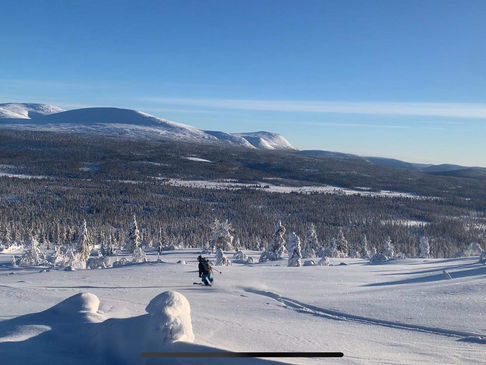 Härliga dagar!