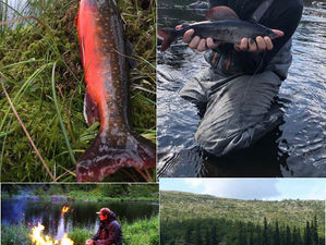 Fastnat för Ransundets vackra landskap