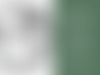 Nyhet: Dagens inlägg