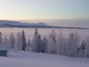 Grattis! Årets första bild är korad!