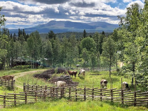 Mina barndoms somrar i Nysätern - Del 2