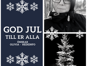 Till Er alla - en riktigt god jul!