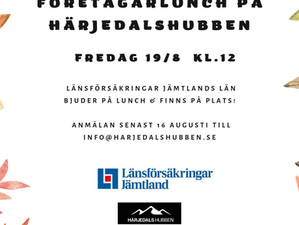 Välkommen på Företagarlunch!