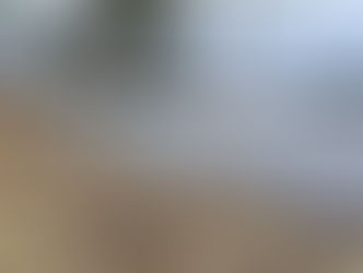 Röjning längs Ljusnan vid spegeldammen