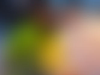 Välkommen hem, välkommen hit!