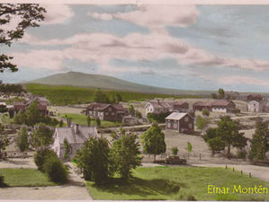 Hedeviken