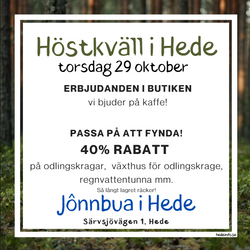 jonnbua höstkväll