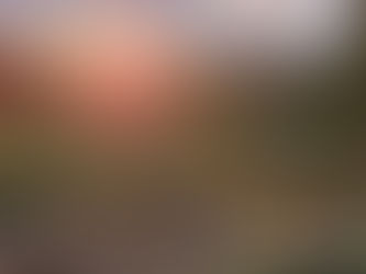 Årsmöte Hede Jaktskytteklubb