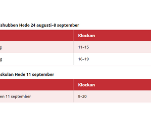 Förtidsröstning öppnar 24 augusti 2022