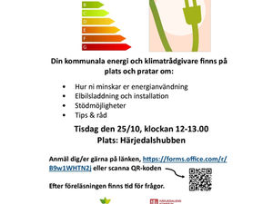 Företagare! Lunchföreläsning i Hede om Energi & Klimat