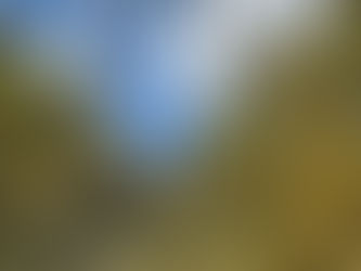 Första bilden i bildtävling- "Höst i Sonfjällsbygden!"