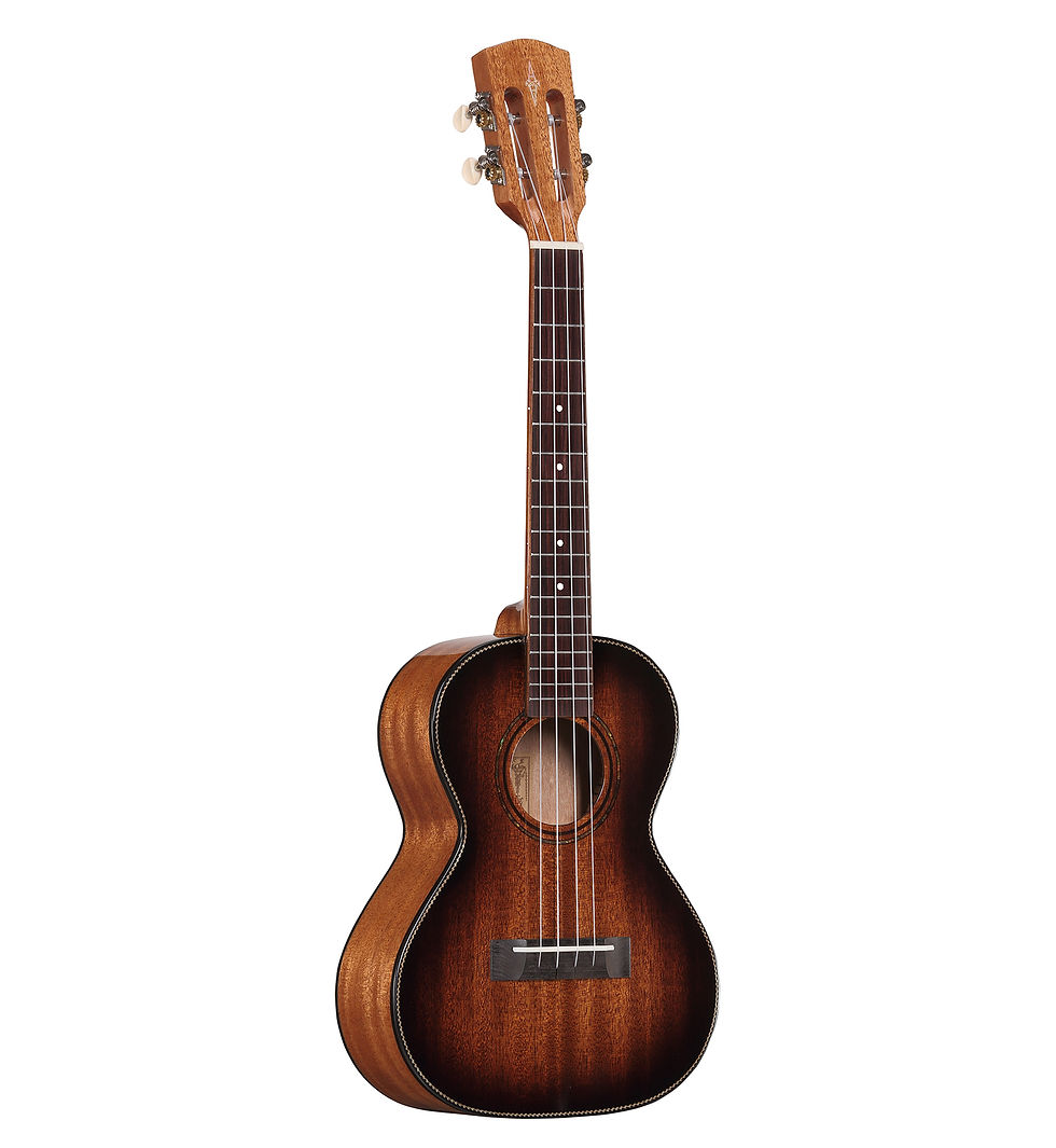 Alvarez - AU66T Tenor Ukulele Shadow Burst