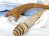 Portal Espiritual de Yom Kippur
