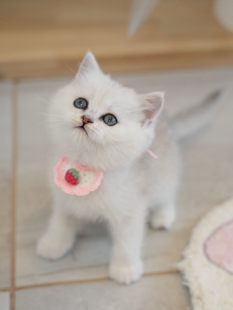 Black Silver Shaded Girl