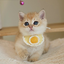 IMG_4296 Large_edited.jpg