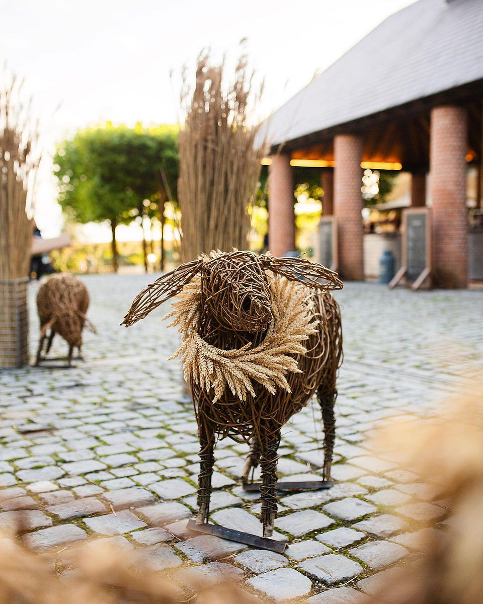 Sheep Sculpture at The Newt