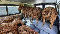 387074364_822855429843506_3139739262920527801_n