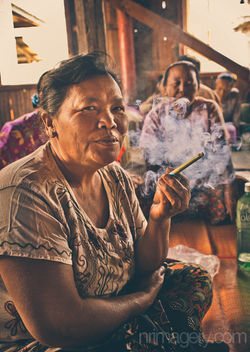 North Wales Photographer