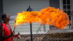 North Wales Photographer