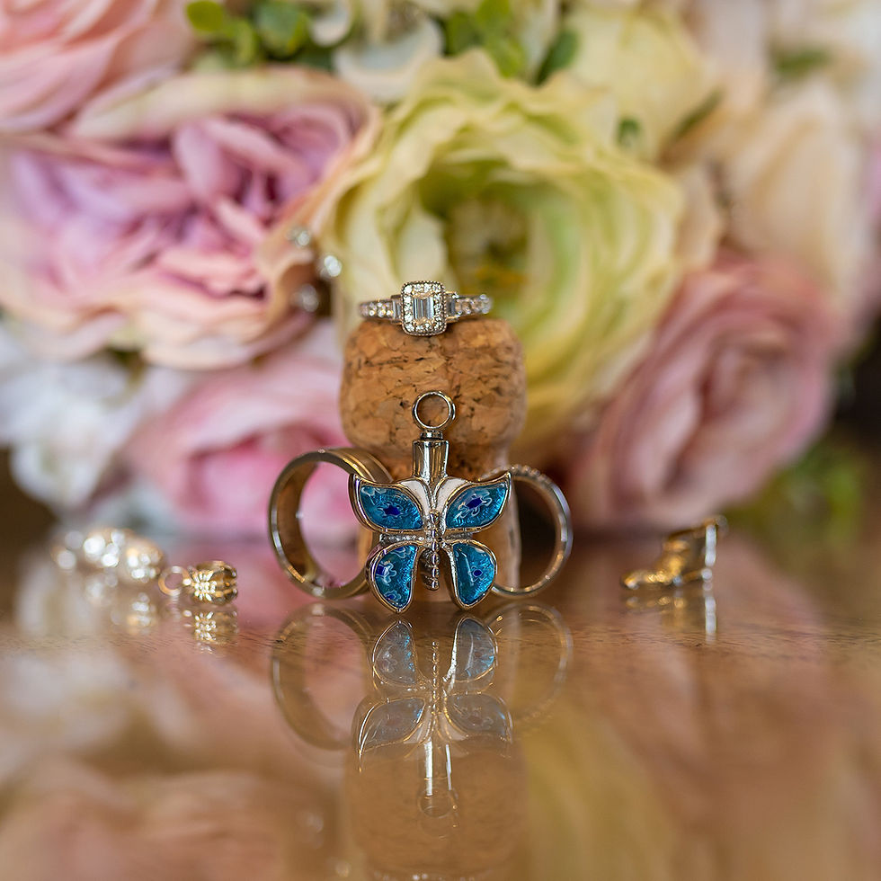 North Wales Wedding Photographer