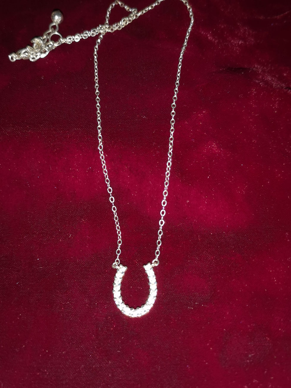 Thumbnail: Horseshoe Necklace