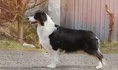 IMG_2181_edited.jpg