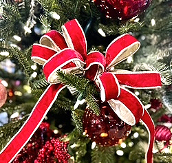 Close-up of a red velvet bow on a Christmas tree for holiday decor.