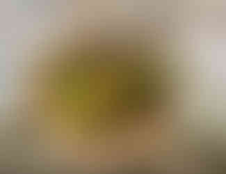 Arrangement of succulents, moss, and bird in wooden bowl for decoration.