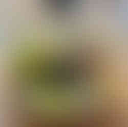 Decorative bowl with faux pears, greenery stems, pods, brown leaves and a silver and brown sphere.