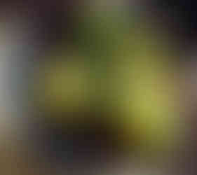 Blue bowl with green faux artichokes, greenery and acorn pods