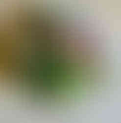 Blue plate with greenery and decorative balls. Inspirations Raleigh