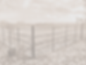 1m high estate fencing bordering a wall with a view in the background_edited_edited.png