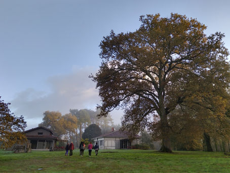 MERCI MERCI MERCI : ) Retraite "Plonge en toi m'Aime" Octobre 2025