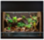 Vivarium bondinwater