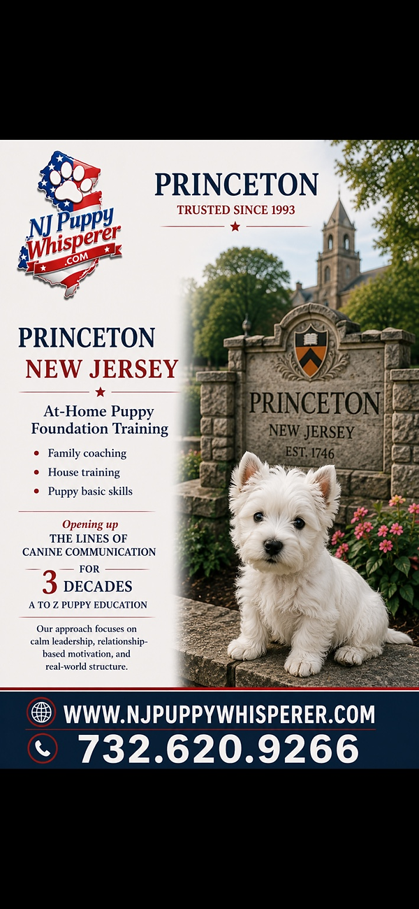 NJ Puppy Whisperer, Trusted Puppy Whisper