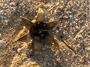 September 2025 Newsletter