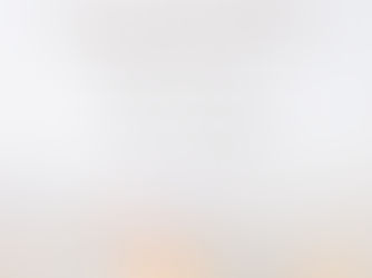 January 2026 Newsletter