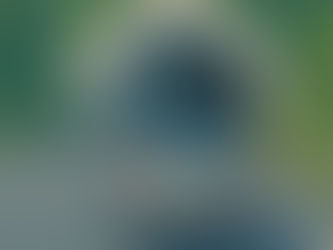 Whitelisting an ASV Scanner IP in WAF for PCI DSS Compliance