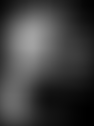 Capítulo 2: "Algo anda mal"